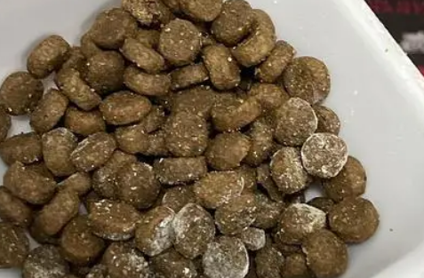埃菲猫粮能吃吗