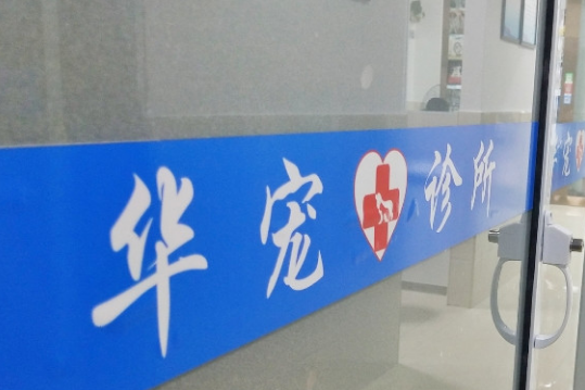 华宠护理:精细化宠物护理的典范 华宠护理:精细化宠物护理的典范