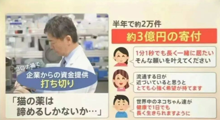 又一“猫咪神药”?噱头还是灵丹妙药? 又一“猫咪神药”?噱头还是灵丹妙药?