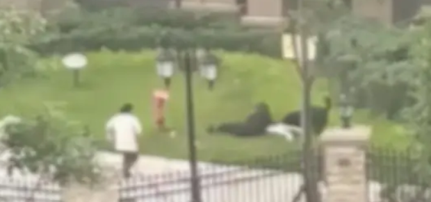 牵绳!牵绳!又见犬只攻击幼童,宠物管控再掀热议 牵绳!牵绳!又见犬只攻击幼童,宠物管控再掀热议