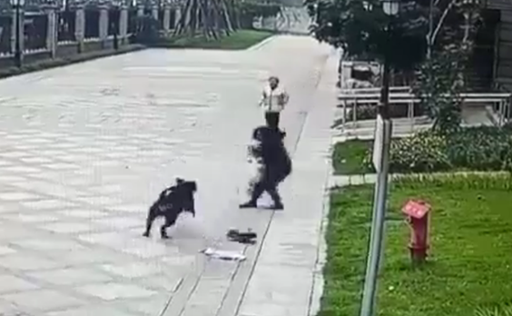 恶犬伤人难治理,要不要推广“养狗人黑名单”? 恶犬伤人难治理,要不要推广“养狗人黑名单”?