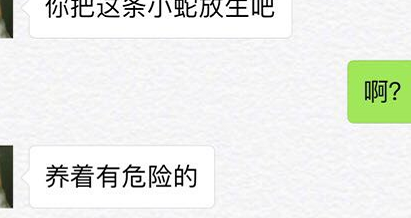 妹子养了一条宠物蛇,老爸看见后却让她放生,妹子:它不咬我…… 妹子养了一条宠物蛇,老爸看见后却让她放生,妹子:它不咬我……