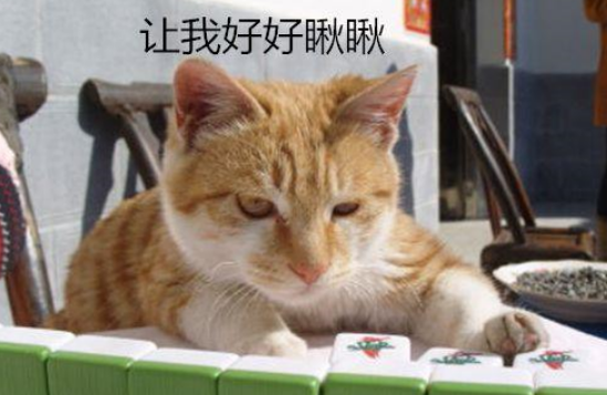 看到有人打出3万，猫咪眼睛一眯发现事情不简单，主人：胡了！