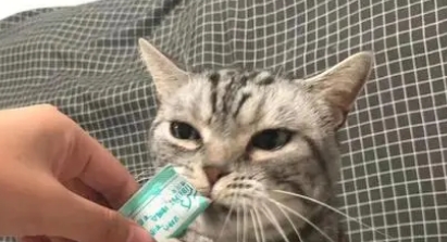 大脸猫猫条好吃吗 大脸猫猫条好吃吗