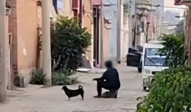 狗不拴绳在霸州胡同狂追路人,主人竟还蛮横不管 狗不拴绳在霸州胡同狂追路人,主人竟还蛮横不管