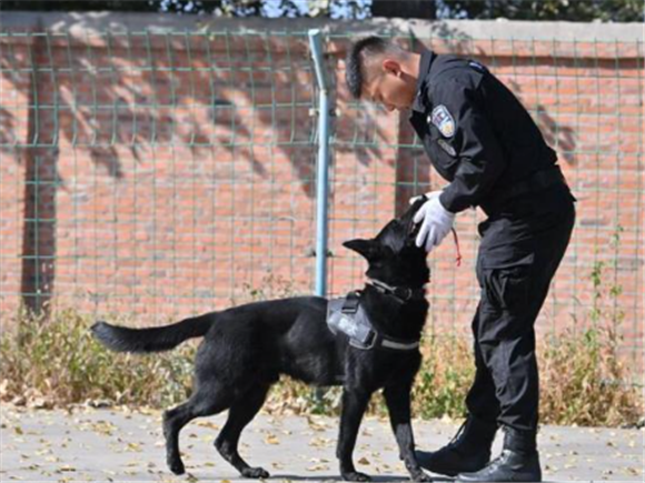 长春警犬“石榴”退役 在岗11年多次立功