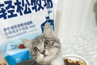 轻松牧场是哪个厂家的
