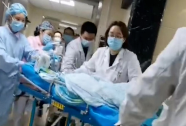 注意!璧山人请重视:32种犬禁养,13件事不能做! 注意!璧山人请重视:32种犬禁养,13件事不能做!