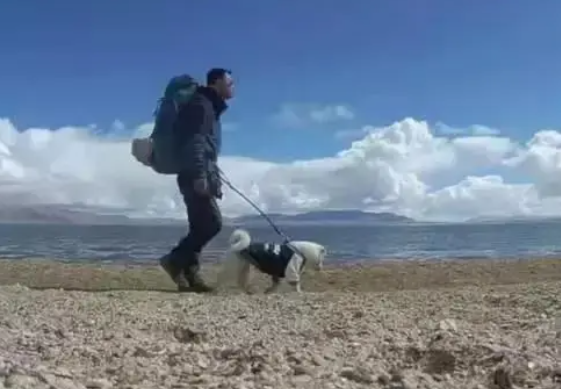 暖心!流浪狗“赖”上背包客,一人一狗徒步5千多公里 暖心!流浪狗“赖”上背包客,一人一狗徒步5千多公里