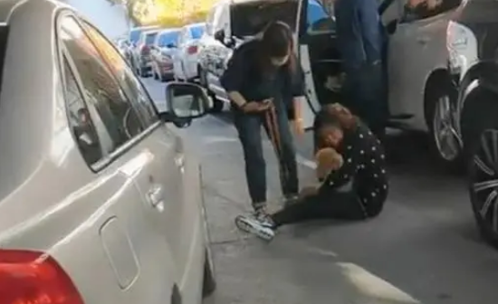 女子遛狗不拴绳致狗被车压死，女子扇脸大哭：妈求你了，你不能死