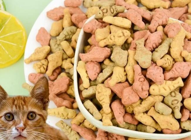 喵哇宠物零食贵吗 喵哇宠物零食贵吗