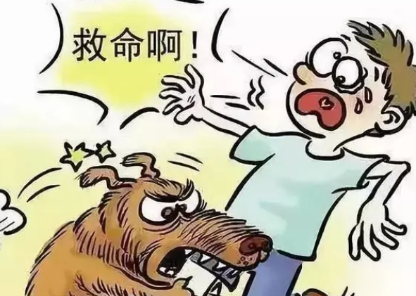 菏泽曹县一家犬发狂咬伤两人，特警当场击毙