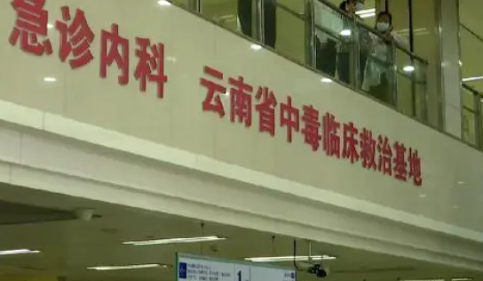 男孩被宠物蜘蛛咬伤，医生查阅相关资料后，惊出一身汗