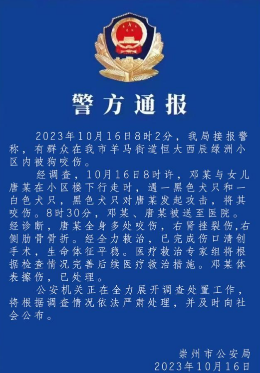 央媒评女童被咬:罗威纳犬主人须绳之以法 央媒评女童被咬:罗威纳犬主人须绳之以法