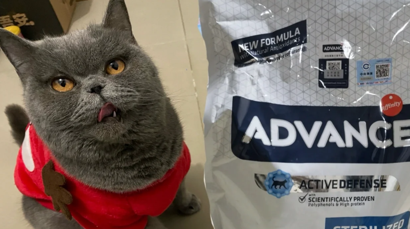 爱旺斯绝育成猫粮:猫咪绝育的首选猫粮 爱旺斯绝育成猫粮:猫咪绝育的首选猫粮