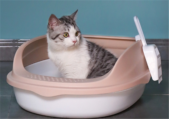 友佩猫砂盆怎么样 友佩猫砂盆怎么样