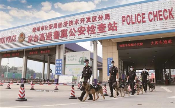 凡警微光 | 带犬民警,超帅! 凡警微光 | 带犬民警,超帅!
