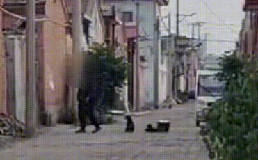 狗不拴绳在霸州胡同狂追路人,主人竟还蛮横不管 狗不拴绳在霸州胡同狂追路人,主人竟还蛮横不管