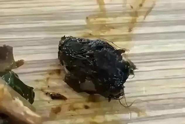 国务院食安办就“鼠头鸭脖”等食品安全事件约谈南昌、唐山人民政府主要负责人