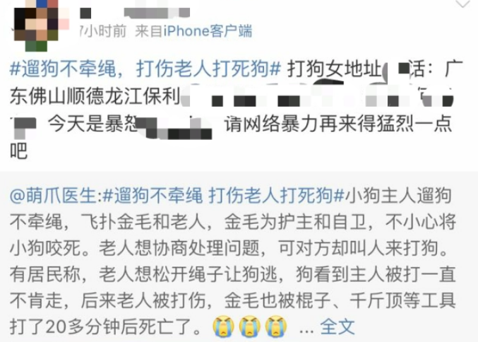 佛山“打死金毛犬”续：当事人朋友遭电话恐吓