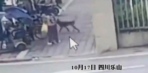 又一起!大狗追咬2名幼童,警方回应 又一起!大狗追咬2名幼童,警方回应