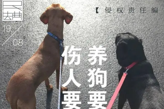 女子被藏獒吓到撞车致高位截瘫，法院这样判