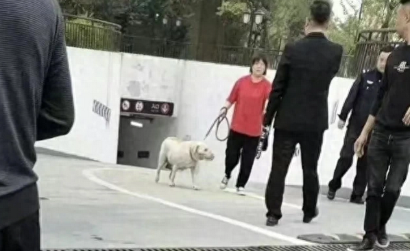 四川恶犬咬伤女童最新后续:黑狗已找到,狗主人被砍,警方辟谣 四川恶犬咬伤女童最新后续:黑狗已找到,狗主人被砍,警方辟谣