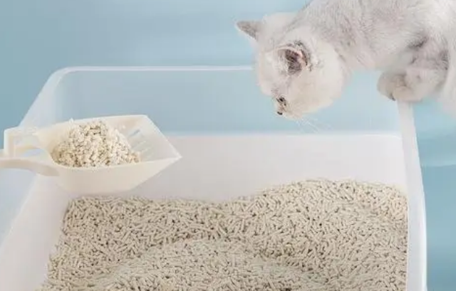 宜宝neakasa猫砂贵吗 宜宝neakasa猫砂贵吗