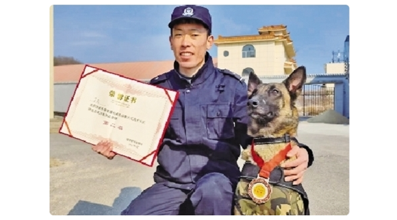 辽宁两岁警犬“师皮年”获评首批功勋犬