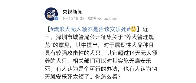 依法养狗:这个一线城市,流浪狗14天无人领养,实施安乐死,你支持么? 依法养狗:这个一线城市,流浪狗14天无人领养,实施安乐死,你支持么?