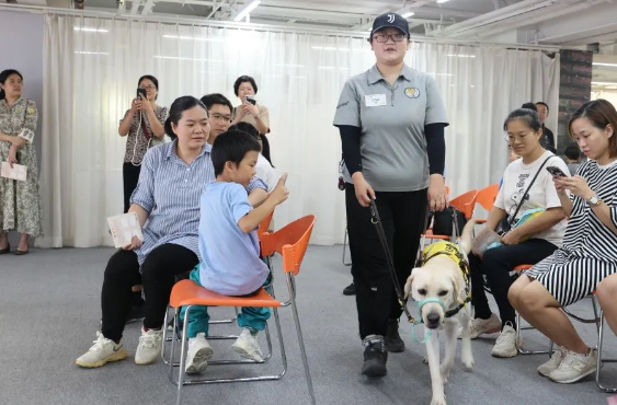 它是视障人士的“眼睛”,导盲犬温暖亮相北京路!_宠界新闻