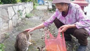 88岁老奶奶18年来不间断餵食流浪猫狗,只因不忍心它们挨饿 88岁老奶奶18年来不间断餵食流浪猫狗,只因不忍心它们挨饿