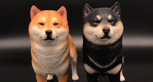 黑色柴犬和黄色柴犬哪个好 黑色柴犬和黄色柴犬哪个好