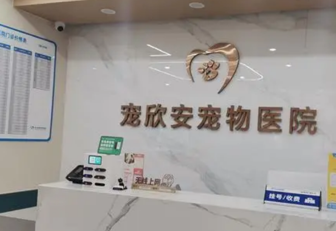 宠欣安宠物医院：专业、贴心的宠物医疗服务