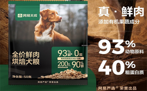 网易天成
