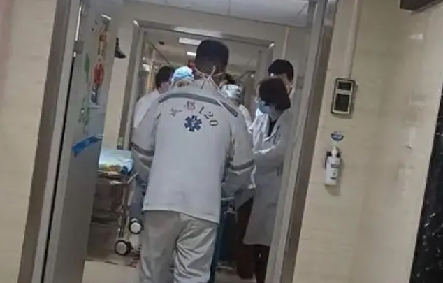 揪心!被狗咬伤女童昏迷,母亲最新发声:黑狗已找到…… 揪心!被狗咬伤女童昏迷,母亲最新发声:黑狗已找到……