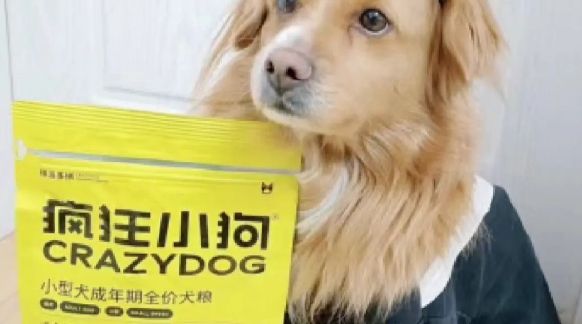 疯狂的小狗狗粮怎么样