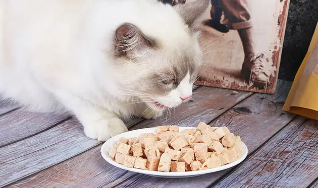 瓜洲牧猫粮属于什么档次？