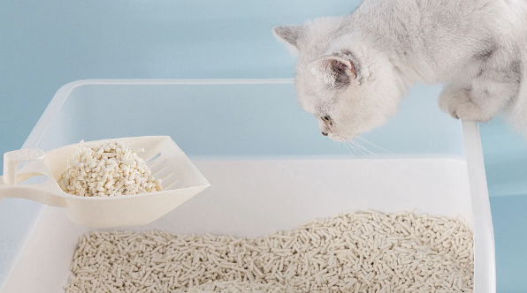 摩宠motodog猫砂，优秀的豆腐猫砂！