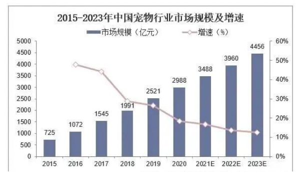 不生孩子养宠物，宠物热潮持续高涨：宠物为何成为现代家庭的新成员？