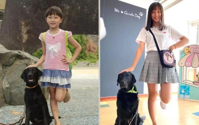 时隔8年,退役导盲犬再次见到前主人一脸不可置信…泪目了! 时隔8年,退役导盲犬再次见到前主人一脸不可置信…泪目了!