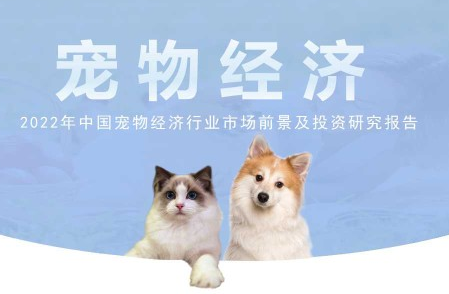 “它经济”被忽视的宠物文化