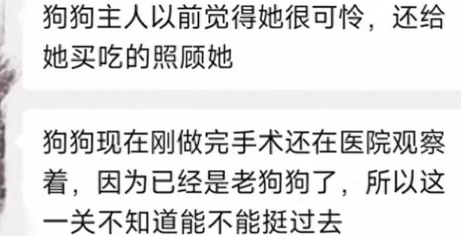 11岁女童偷狗被抓!掰牙拔舌系惯偷 11岁女童偷狗被抓!掰牙拔舌系惯偷