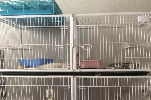 獒运笼具,把最优质的产品带给每一位客户 獒运笼具,把最优质的产品带给每一位客户