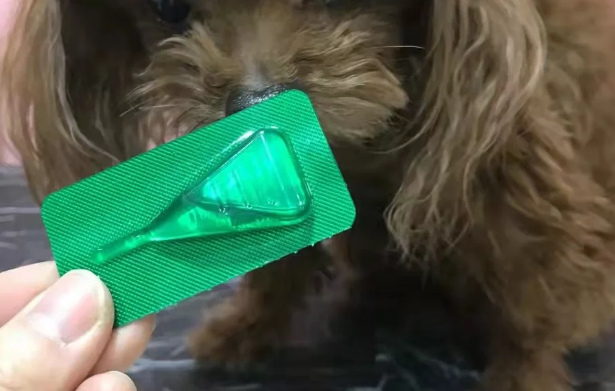 让狗狗远离虫的好物|小罗内外净滴剂 让狗狗远离虫的好物|小罗内外净滴剂