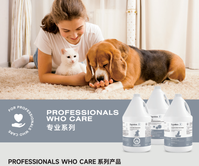 联名CatMagic 喵洁客，加拿大清洁品牌Purodora Lab淳雾进军国内