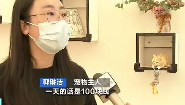 抢着预约！北京宠物美容寄养需求激增
