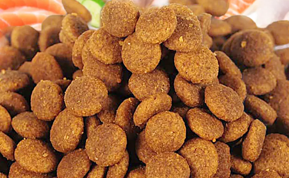 快宠猫粮:满足猫咪全方位需求的优质食品 快宠猫粮:满足猫咪全方位需求的优质食品