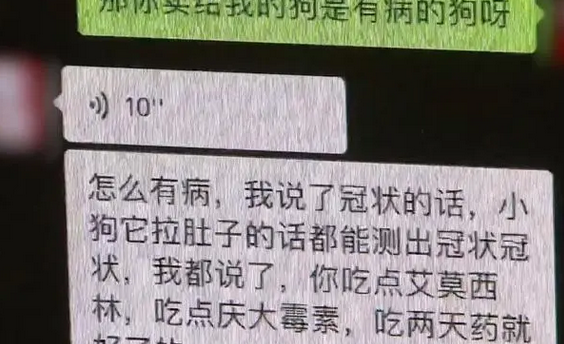 直播间买到“星期狗”，宠物店表示概不负责？