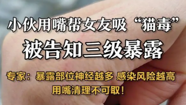 流浪猫抓伤女友，小伙用嘴清理伤口，不料悲剧了……